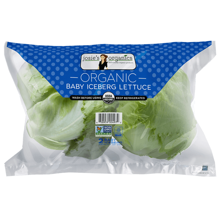 Baby Iceberg Lettuce