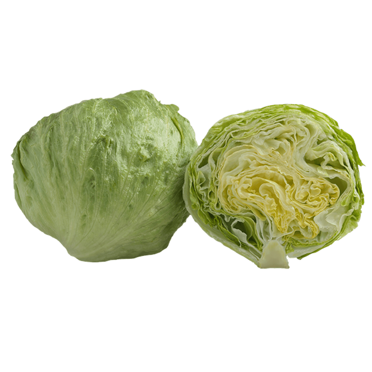 Baby Iceberg Lettuce