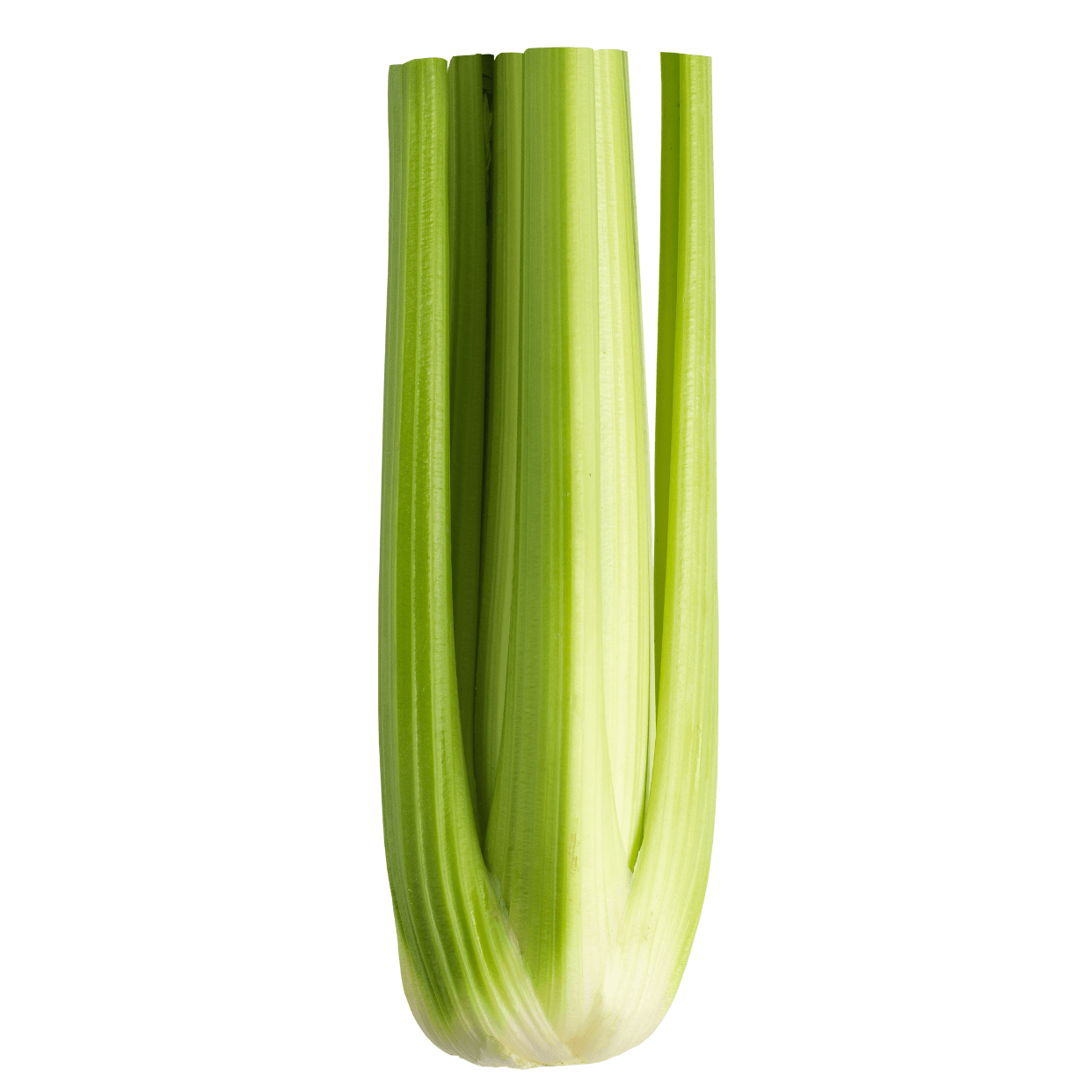 Celery Hearts