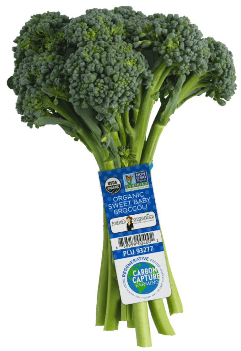 Carbon Capture Baby Broccoli