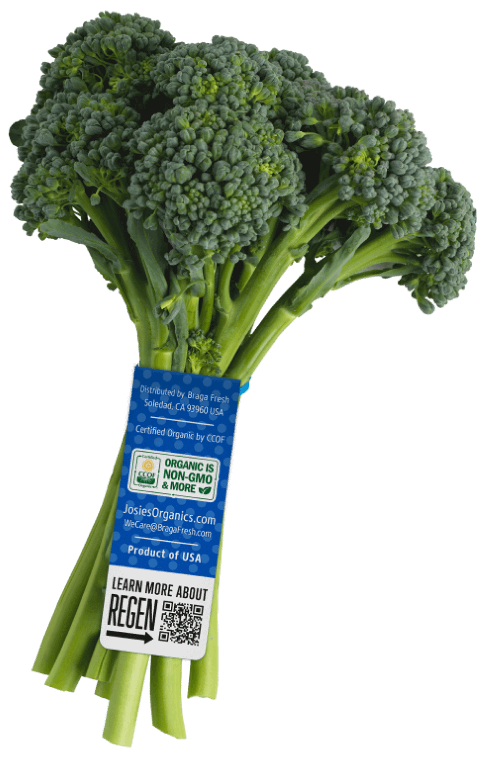 Carbon Capture Baby Broccoli