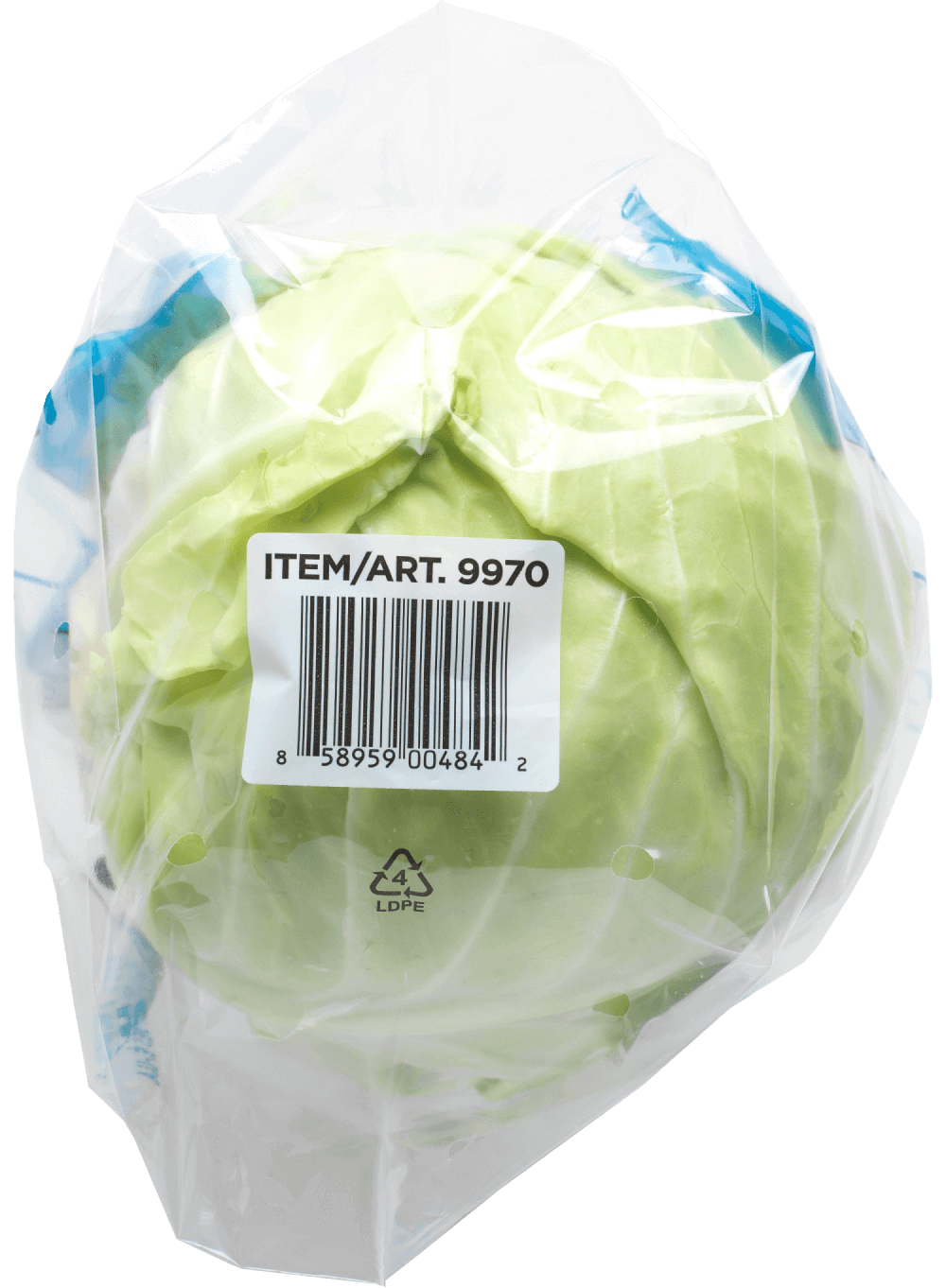 Cabbage