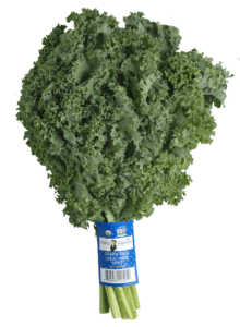 Green Kale Green Kale