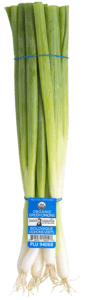 Green Onions Green Onions