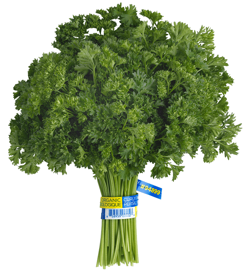 Parsley