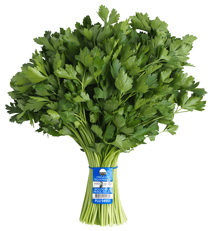 Parsley