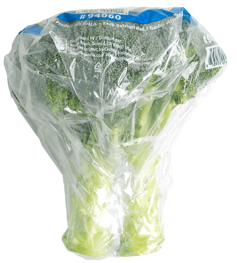 Broccoli